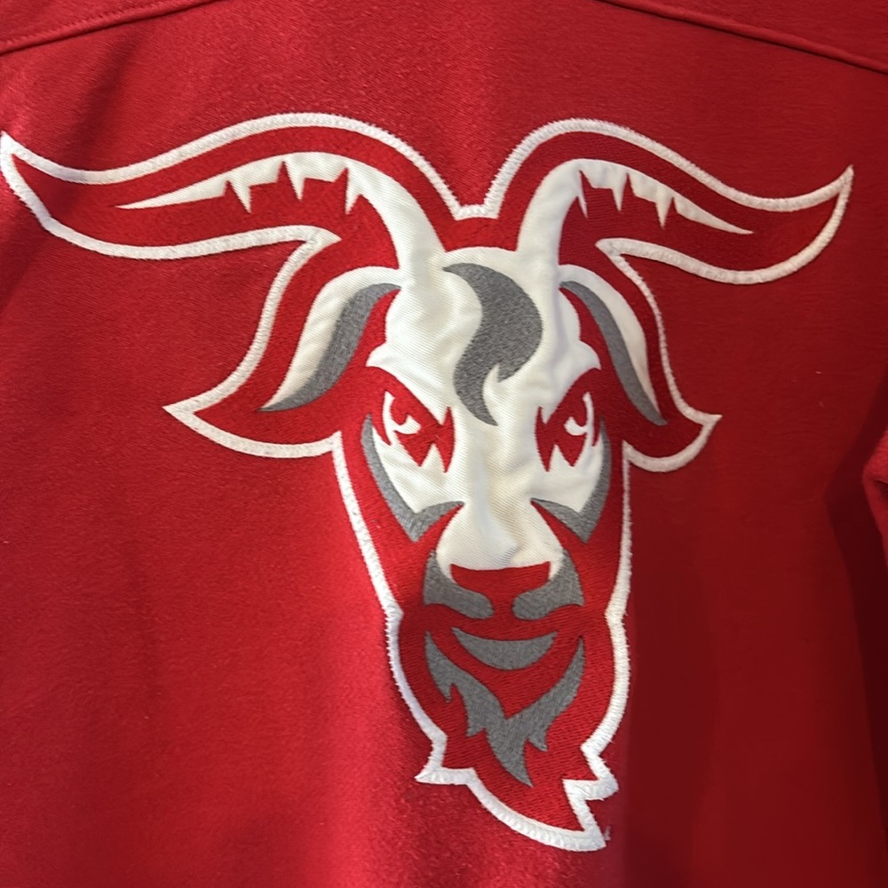 WPI hoody!π - Picture 2 of 4